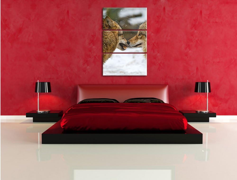Pixxprint liebevolle Wölfe im Schnee 3-Teiler Leinwandbild 120x80 Bild auf Leinwand