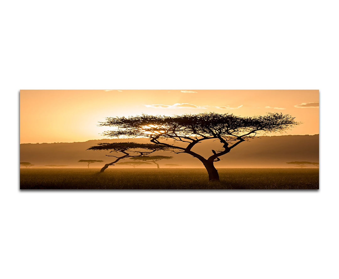 Paul Sinus Art Panoramabild auf Leinwand und Keilrahmen 150x50cm Kenia Wiese Bäume Dunst Sonnenunter