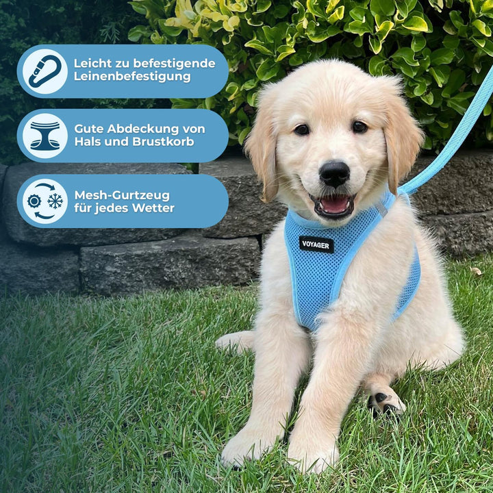 Voyager Step-In Air Hundegeschirr by Best Pet Supplies - All Weather Mesh Step in Vest Harness für k