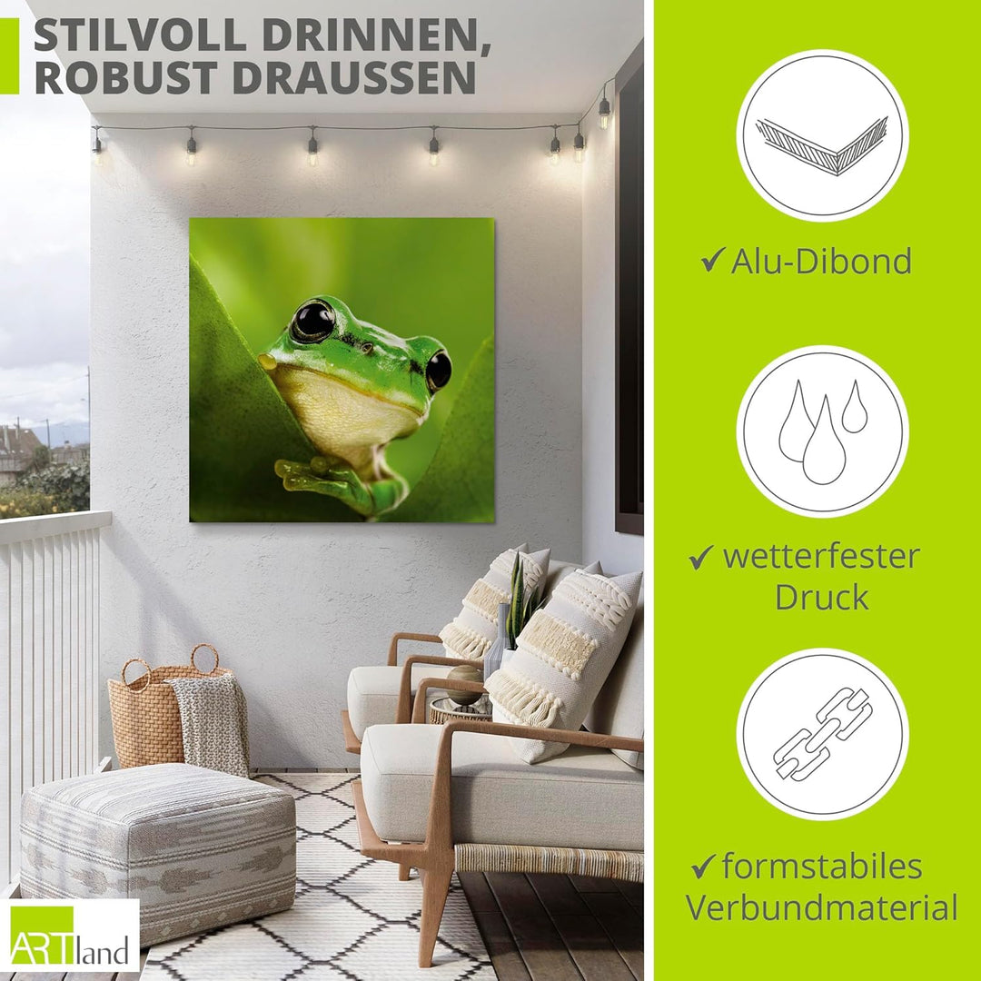 ARTland Wandbild Alu Verbundplatte für Innen & Outdoor Bild 40x40 cm Frosch Tiere Pflanze Natur Süss