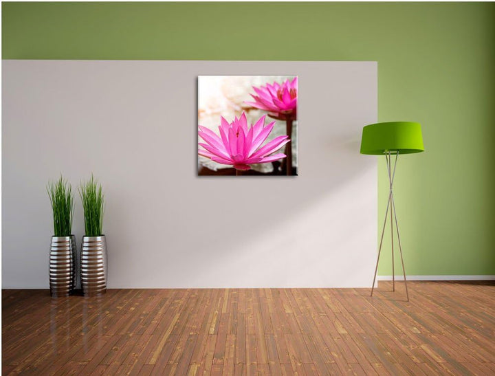 Lilafarbene Wasserlilie, Format: 70x70 auf Leinwand, XXL riesige Bilder fertig gerahmt mit Keilrahme