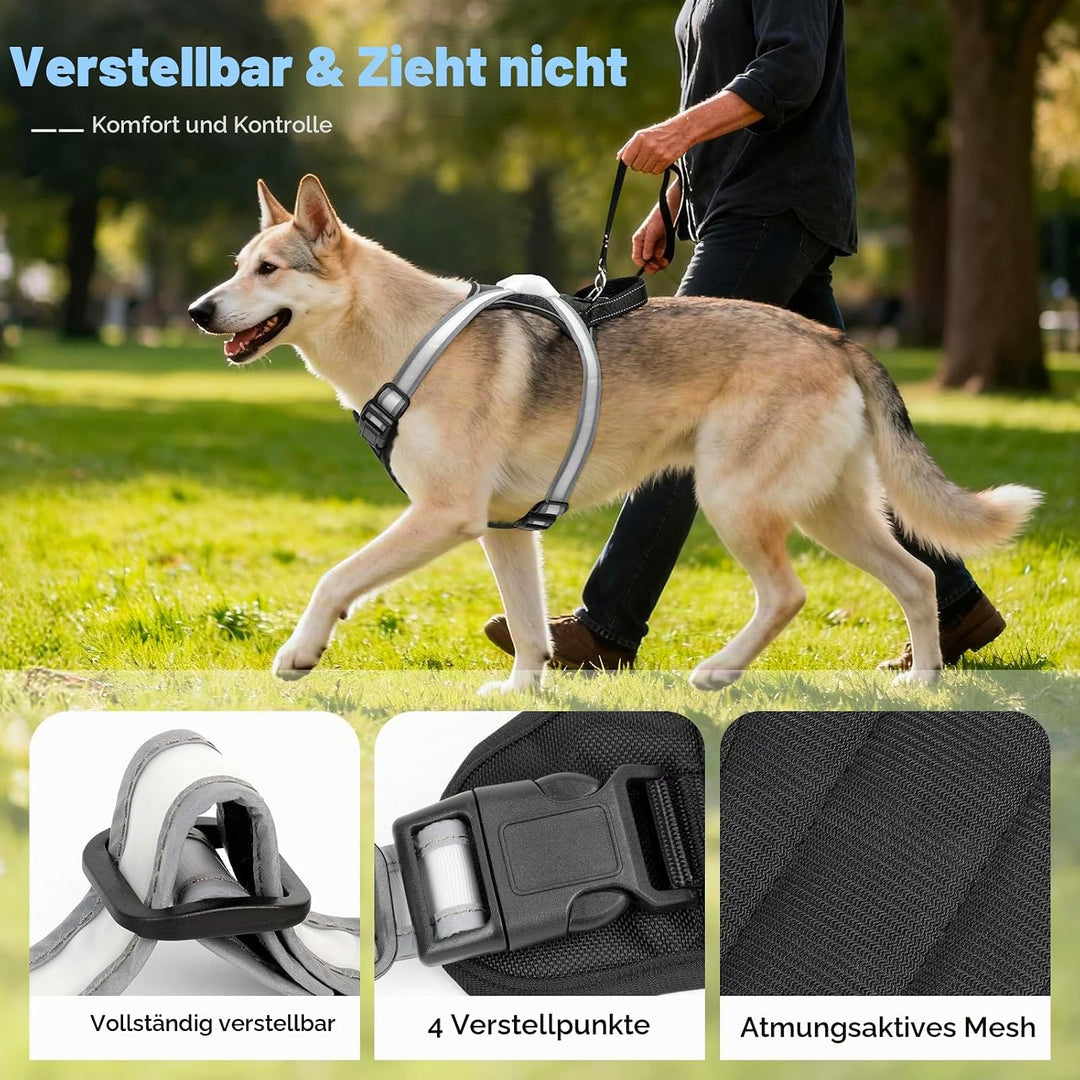 LED Hundegeschirr Leuchtend, Multicolor Reflektierendes Leuchthundegeschirr für Nacht, USB-C Wiedera