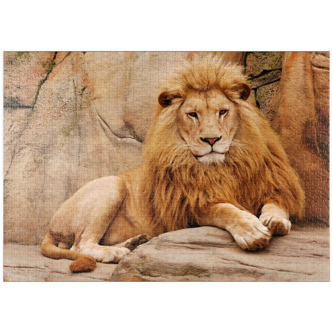 EIN Löwe entspannt auf einem Stein - Premium 1000 Teile Puzzle - MyPuzzle Sonderkollektion von Puzzl