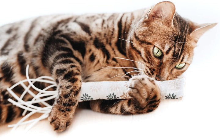 LITTLE LORD | Premium Bundle-Set Katzenbett flauschig, Katzenkörbchen flauschig inkl. der hochwertig