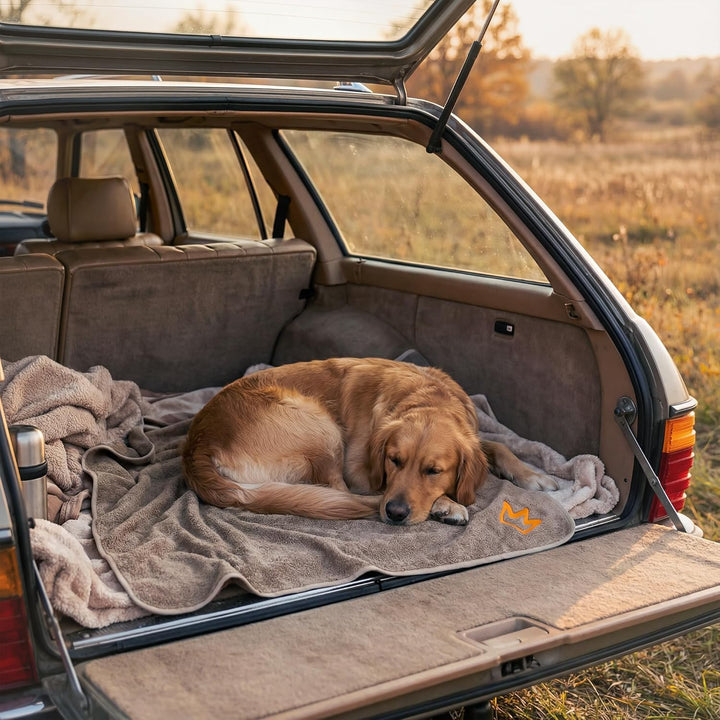 Rudelkönig Hundehandtuch kleine Hunde - Badetuch aus hochwertiger Baumwolle extra saugfähig - 100x60