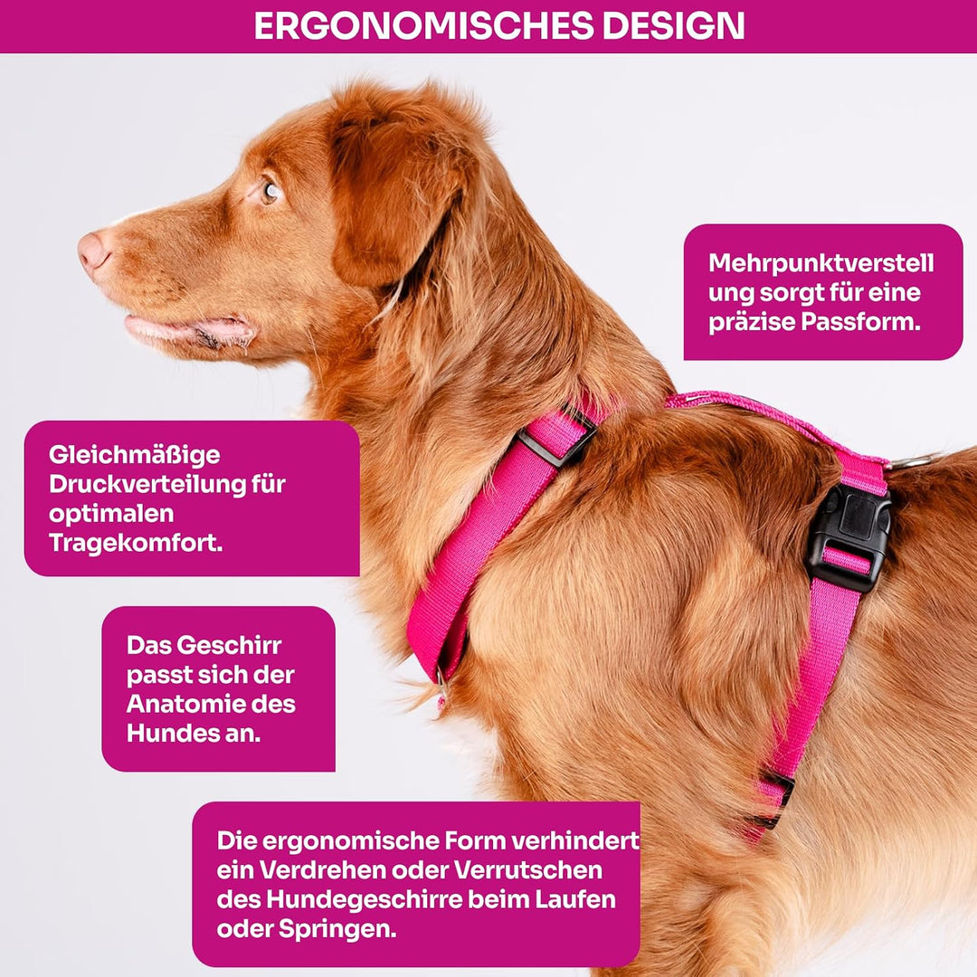 Chaba Guard Hundegeschirr Kleine Mittelgrosse Hunde Anti Zug &amp; Würgen Geschirr Hund Klein mit Kontro