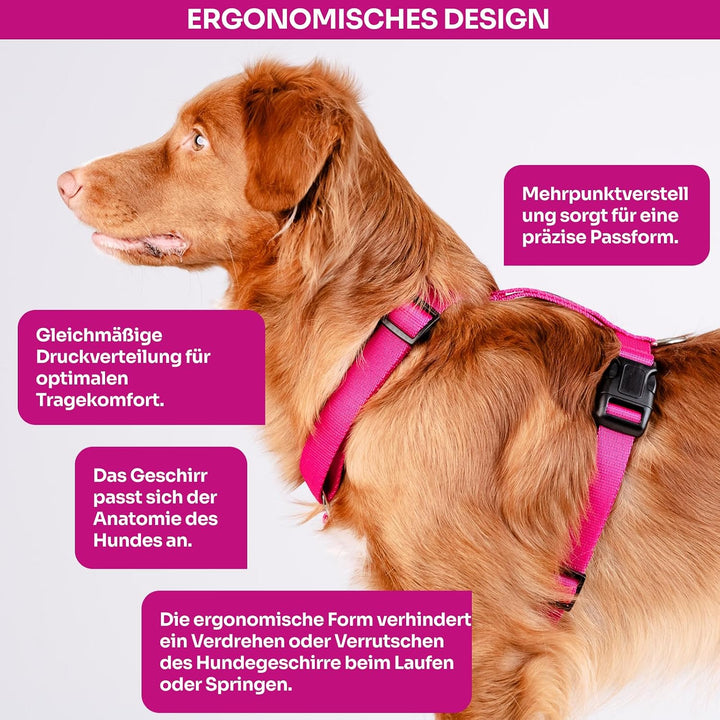 Chaba Guard Hundegeschirr Kleine Mittelgrosse Hunde Anti Zug &amp; Würgen Geschirr Hund Klein mit Kontro