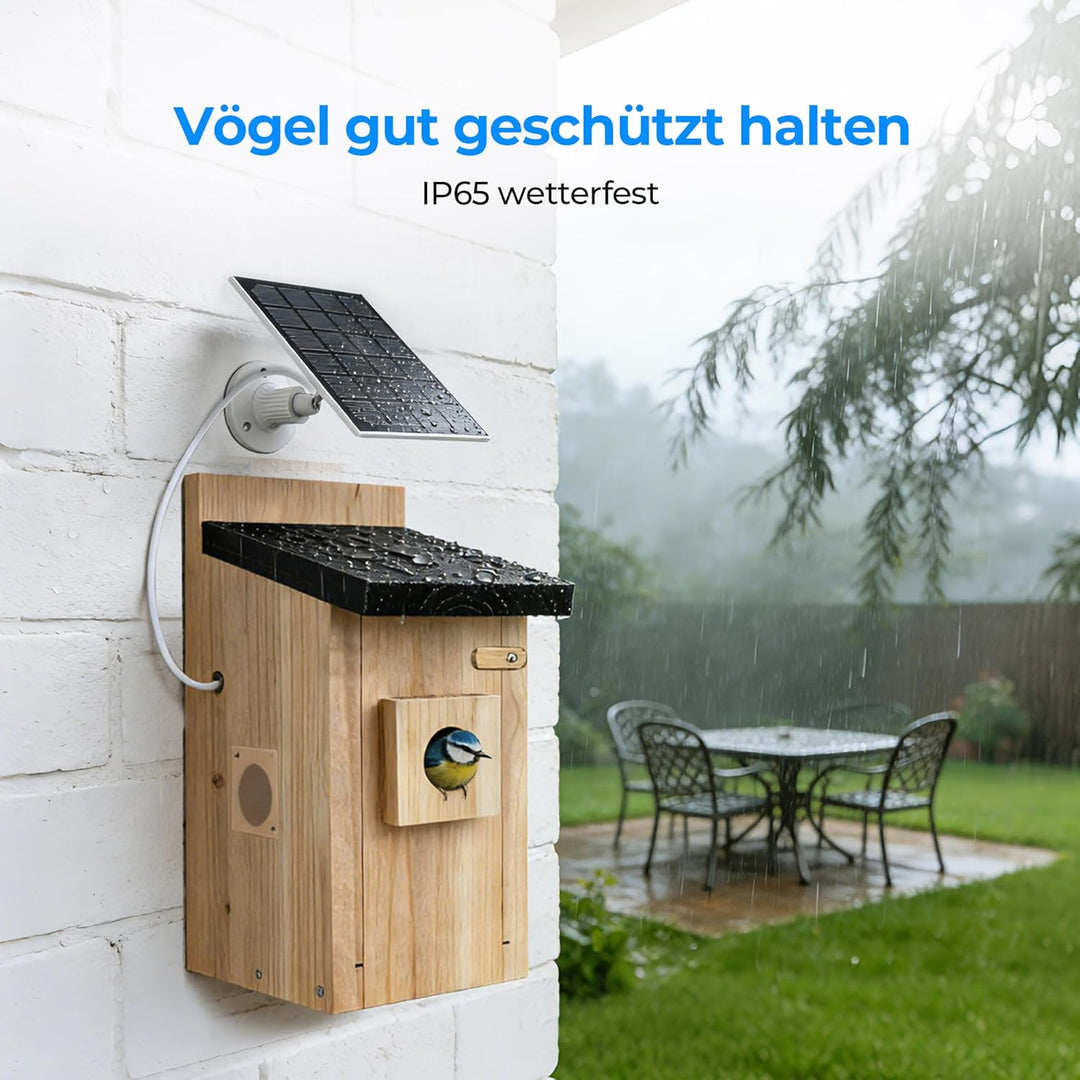 Vogelhaus mit Kamera - 400W Pixel Nistkasten mit Kamera zur Echtzeit-Beobachtung des Nestbau- und Br
