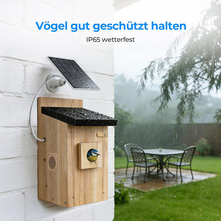 Vogelhaus mit Kamera - 400W Pixel Nistkasten mit Kamera zur Echtzeit-Beobachtung des Nestbau- und Br