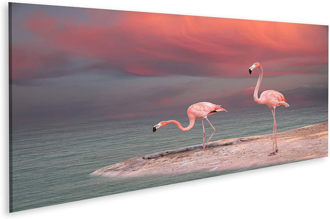 islandburner Bild auf Leinwand Rosa Flamingo Florida Am Strand Bilder Wandbilder Poster Leinwand 120