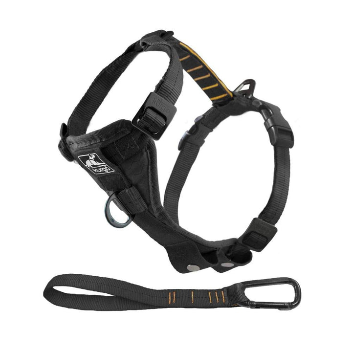 Kurgo Tru-Fit Smart Hundegeschirr, Mit gepolstertem Brustteil und D-Ring, Inklusive Autosicherheitsg
