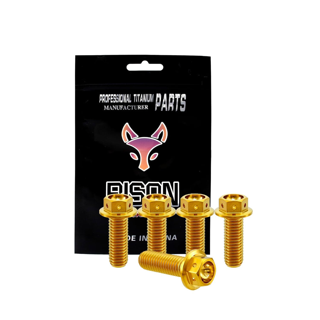 RISON Titanium Bolzen M6x1.0x10mm Titan Flansch Schrauben TC4 Titan Schrauben Sechskantschraube gold