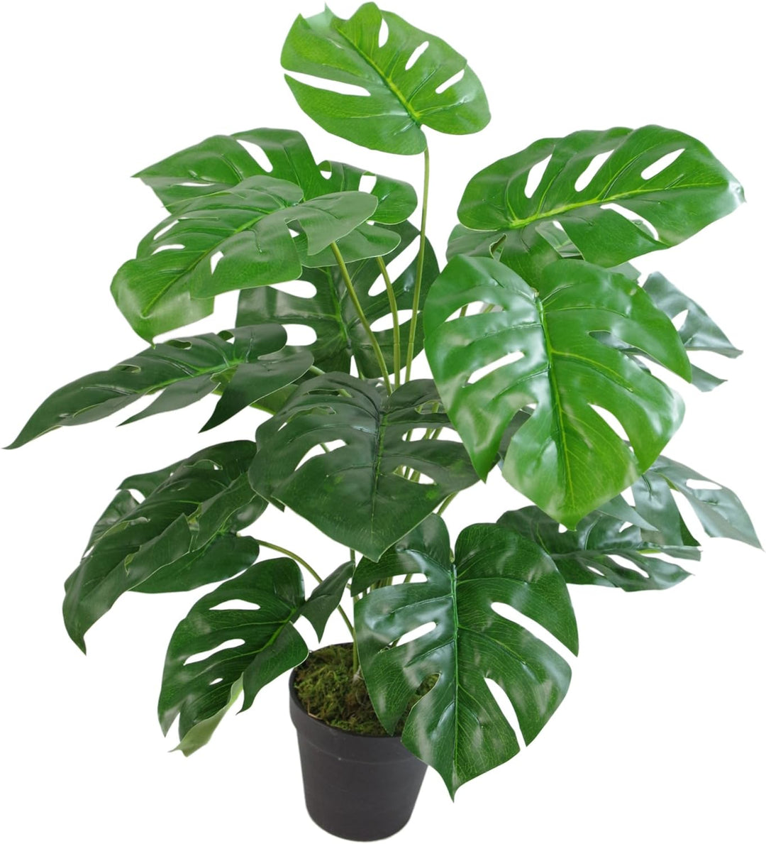 Leaf Künstliche Pflanze mit Blättern, Schwarz, 80 cm Monstera, 80cm LEAF-7151 80cm Monstera 80 Cm Mo