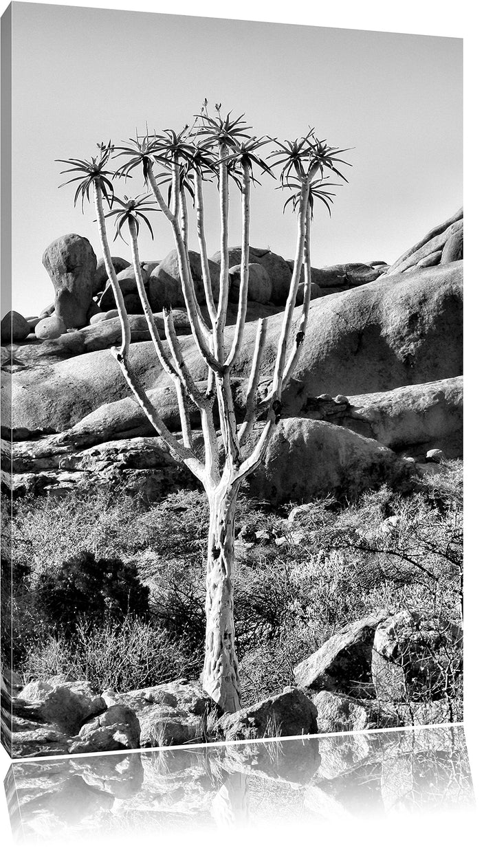 Pixxprint Monocrome, aussergewöhnlicher Baum im Steingebirge, Format: 100x70 auf Leinwand, XXL riesi