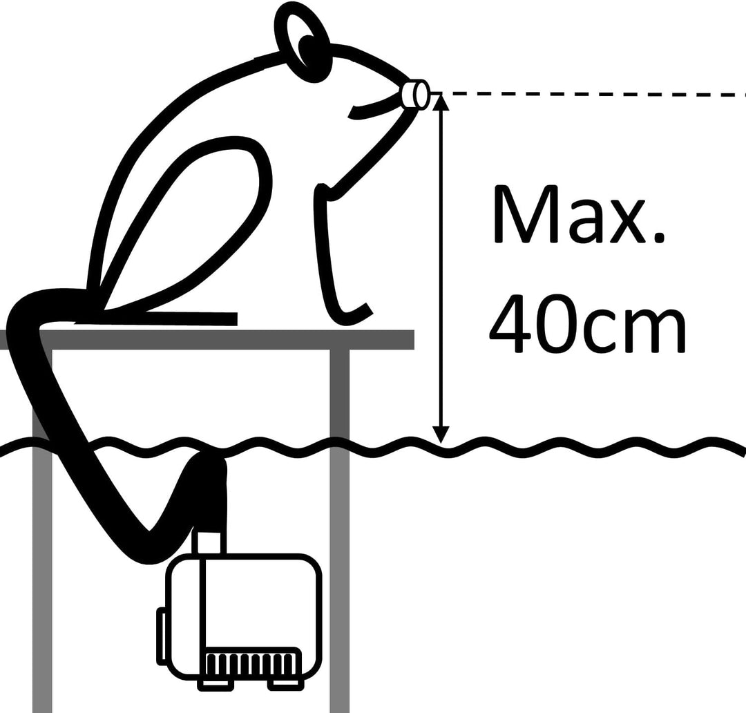 CLGarden kleine Springbrunnenpumpe NSP1E für Wasserspeier Miniteich Wasserspiel Pumpe 12V mit Netzbe