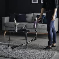Rowenta RH2037 X-Force Flex 9.60 Allergy