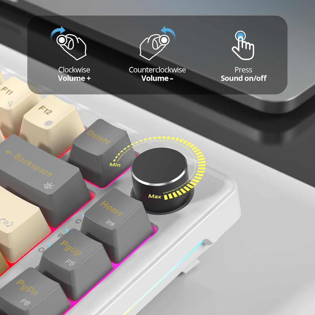 SOLIDEE Verkabelte Mechanische Gaming Tastatur 75 Prozent, Hot-Swap-Fähig Mit Gasket Struktur, RGB H