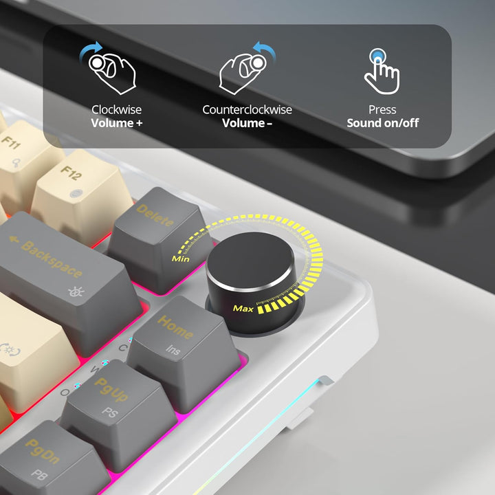 SOLIDEE Verkabelte Mechanische Gaming Tastatur 75 Prozent, Hot-Swap-Fähig Mit Gasket Struktur, RGB H