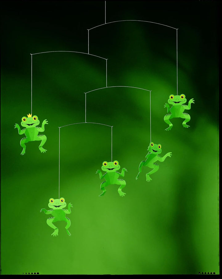 Flensted Mobiles 112a The Happy Frog Mobile, Mehrfarbig, 53x45cm