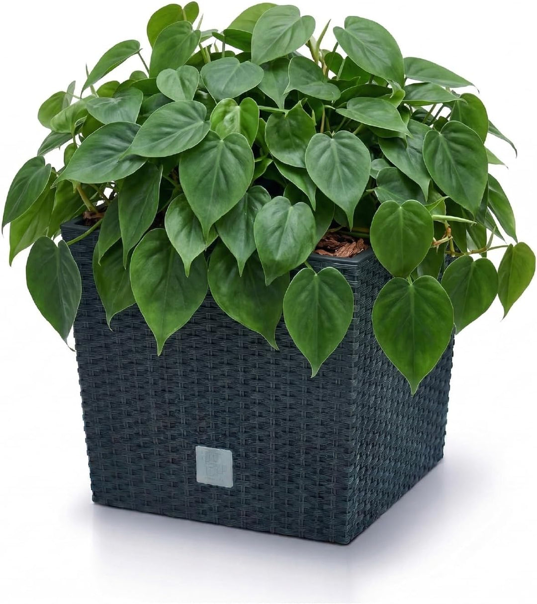 Prosperplast Blumentopf in Rattan-Optik Pflanzkübel mit Einsatz | anthrazit | wetterfest &amp; UV-bestän