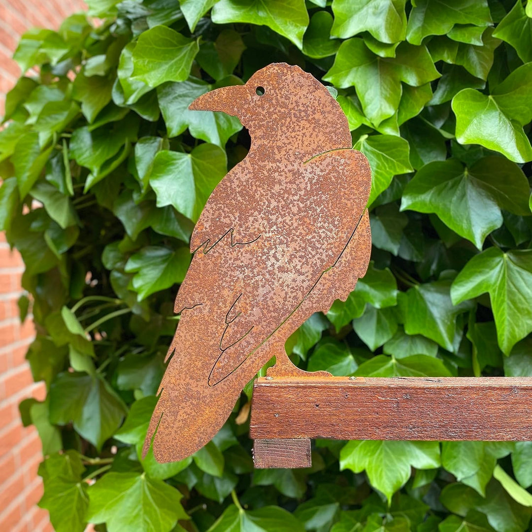 Crispe home & garden Gartenstecker Edelrost - Vogel Rabe - Höhe 34 cm, Rabe