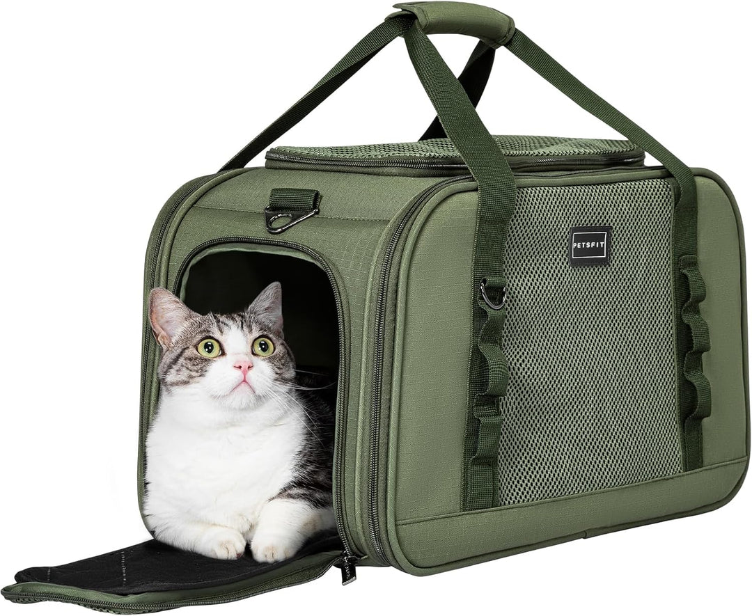 Petsfit Transportbox Katze Flugzeug Transporttasche Katze Hund mit Decke Hundetasche stabil & atmung