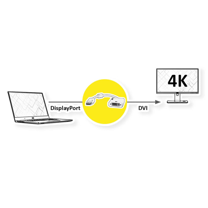ROLINE 4K DisplayPort-DVI Adapter, DP Stecker-DVI Buchse