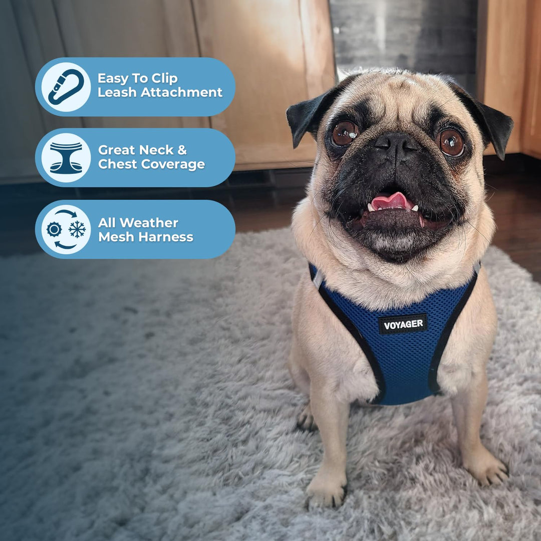 Best Pet Supplies Voyager Step-In Air Hundegeschirr – Allwetter-Netzgewebe für kleine und mittelgros