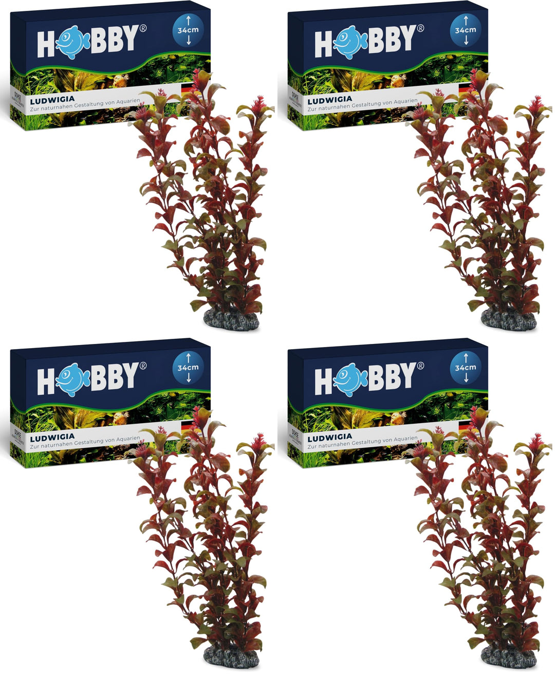Hobby Ludwigia, 34 cm (Packung mit 4), 34 cm (Packung mit 4)