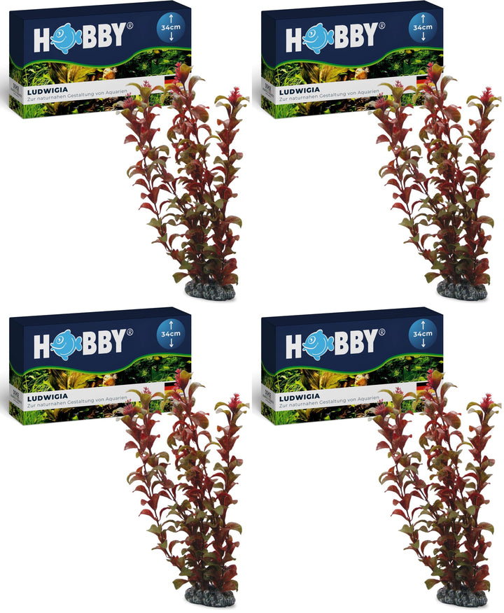 Hobby Ludwigia, 34 cm (Packung mit 4), 34 cm (Packung mit 4)
