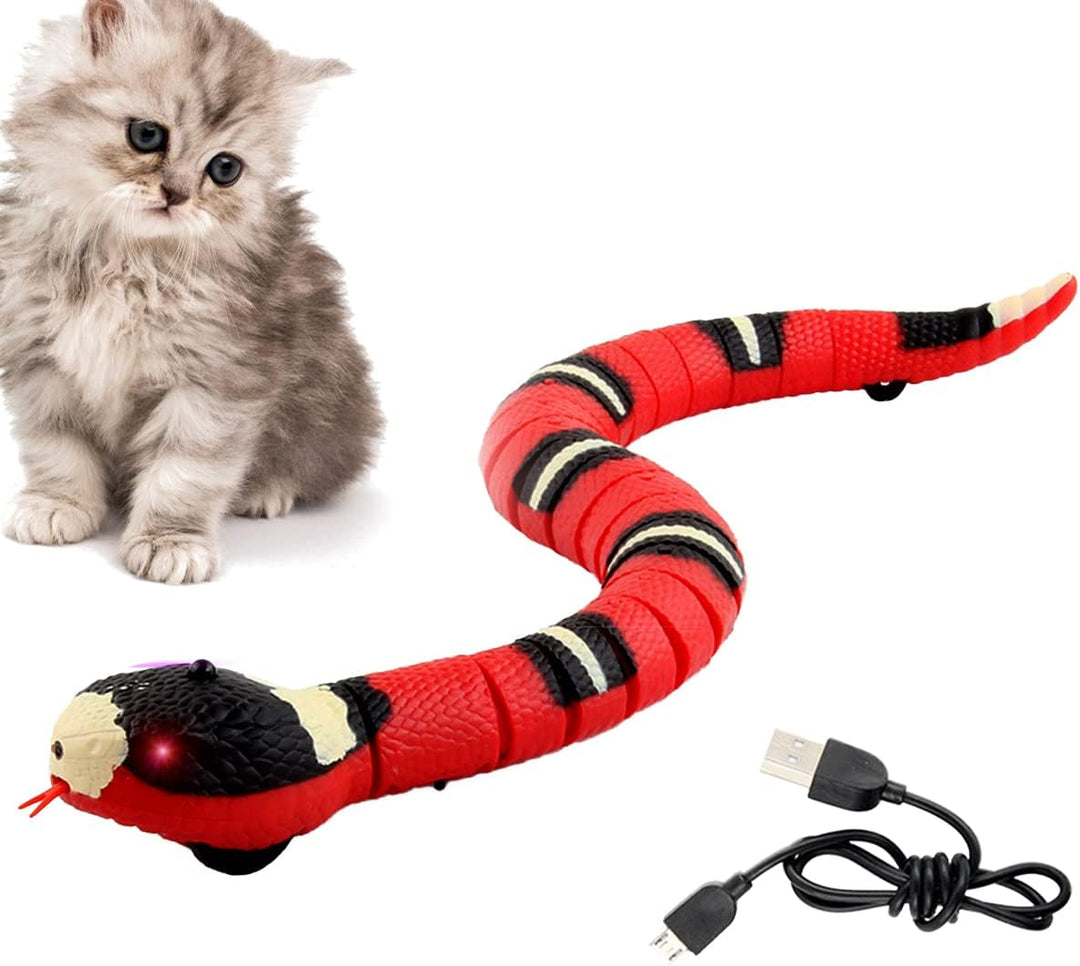 Spielzeugschlange Katze, XiXiRan Schlangenspielzeug Elektrisches, Katzenspielzeug Schlange Usb, Schl