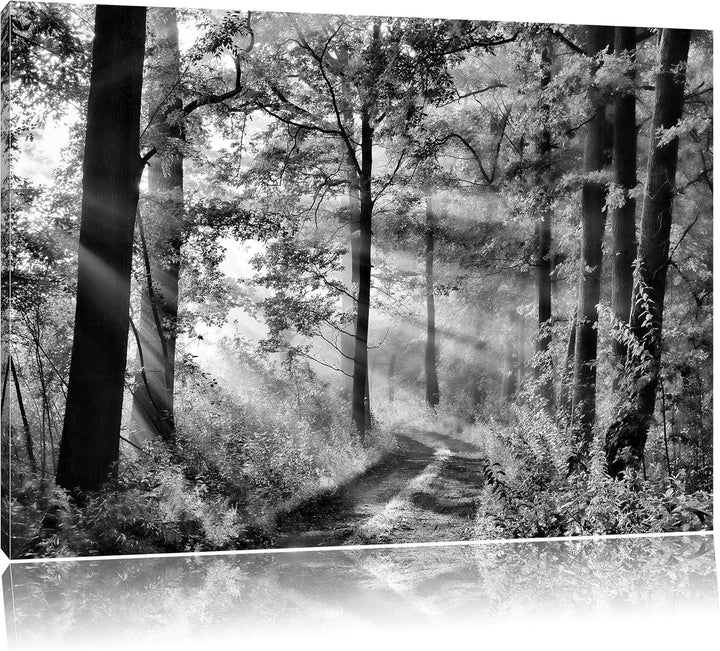 Pixxprint Waldweg im Winter als Leinwandbild/Grösse: 100x70 cm/Wandbild/Kunstdruck/fertig bespannt,