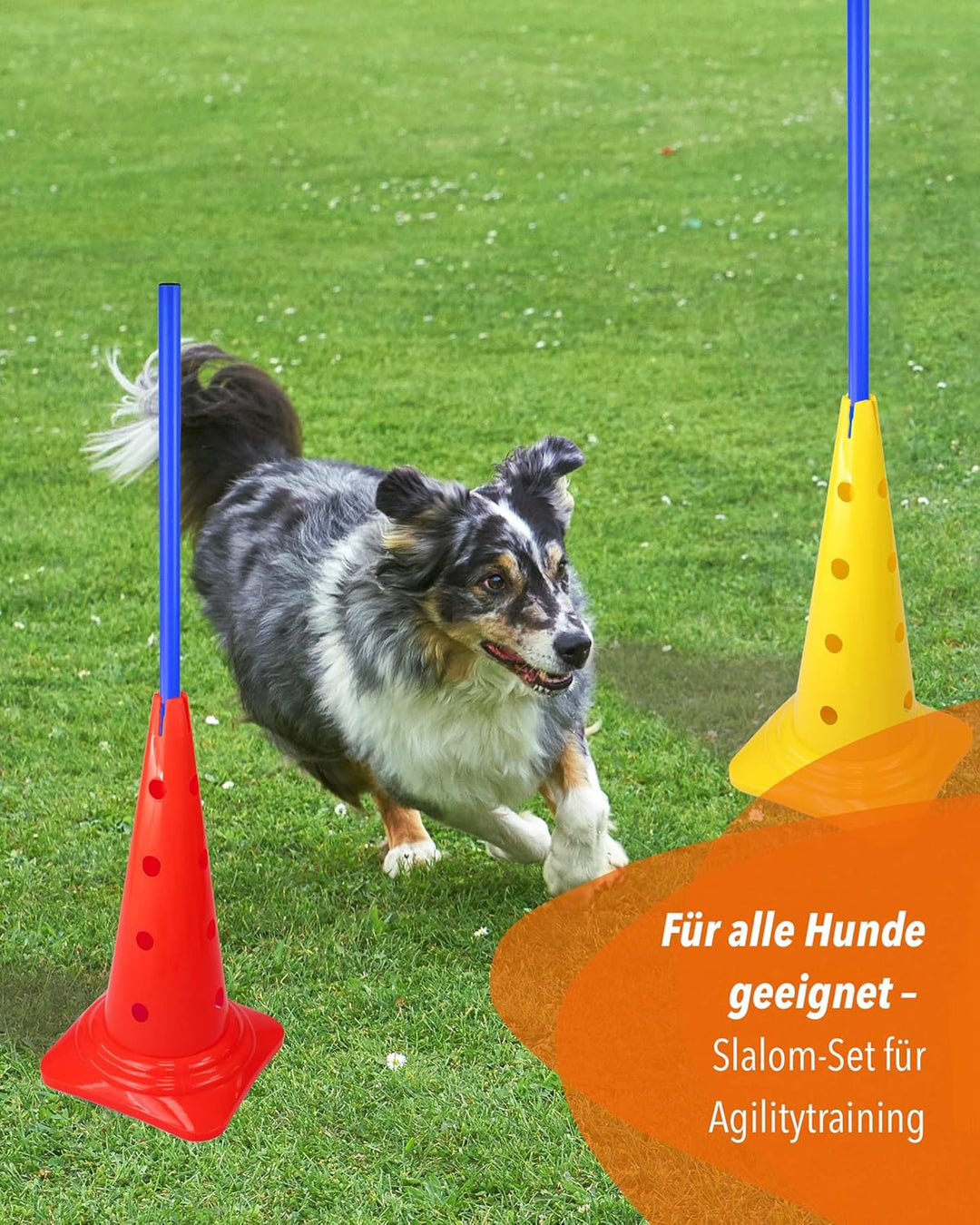 Kombi-Kegel 50 mit Stange 100 cm – 4er Set – Pylone mit Slalomstange – für Slalom-Parcours – Agility