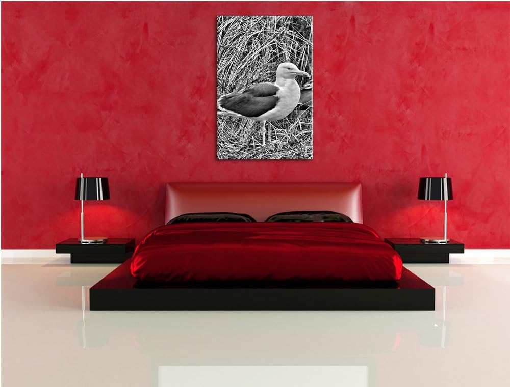Pixxprint Monocrome, Zwei Möwen im hohen Gras, Format: 100x70 auf Leinwand, 100x70