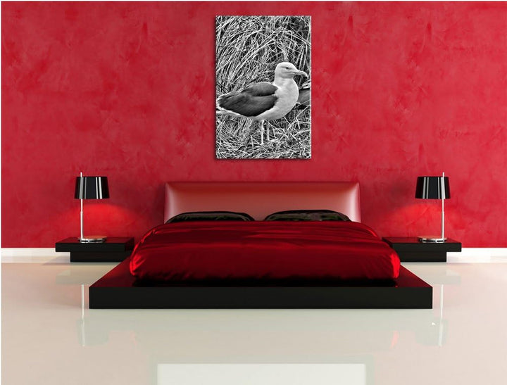 Pixxprint Monocrome, Zwei Möwen im hohen Gras, Format: 100x70 auf Leinwand, 100x70