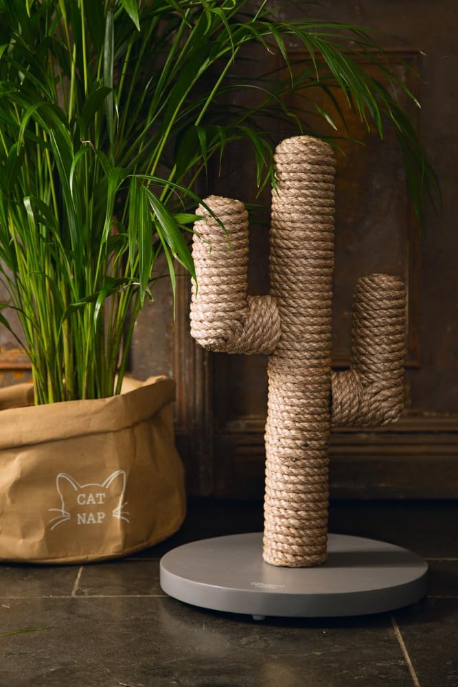 Designed by Lotte Kratzbaum Cactus L: 35 cm B: 35 cm H: 60 cm taupe