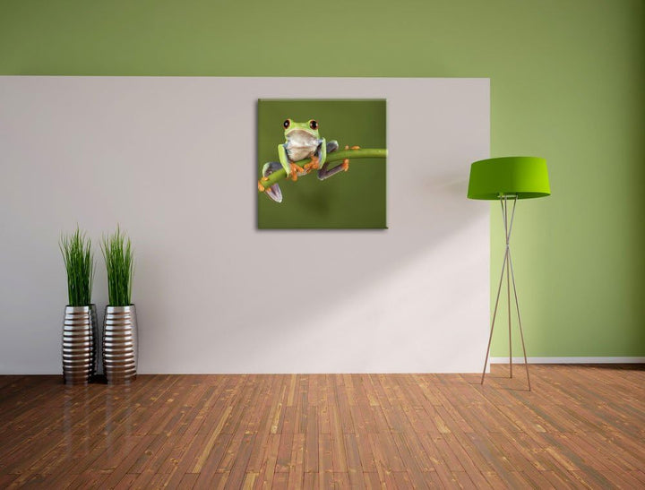 Baum-Frosch auf Bambus, Format: 70x70 auf Leinwand, XXL riesige Bilder fertig gerahmt mit Keilrahmen