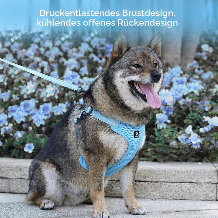 BELLA & PAL Hundegeschirr und Leine Set, Step-in Design mit atmungsaktivem Air-Mesh, reflektierenden