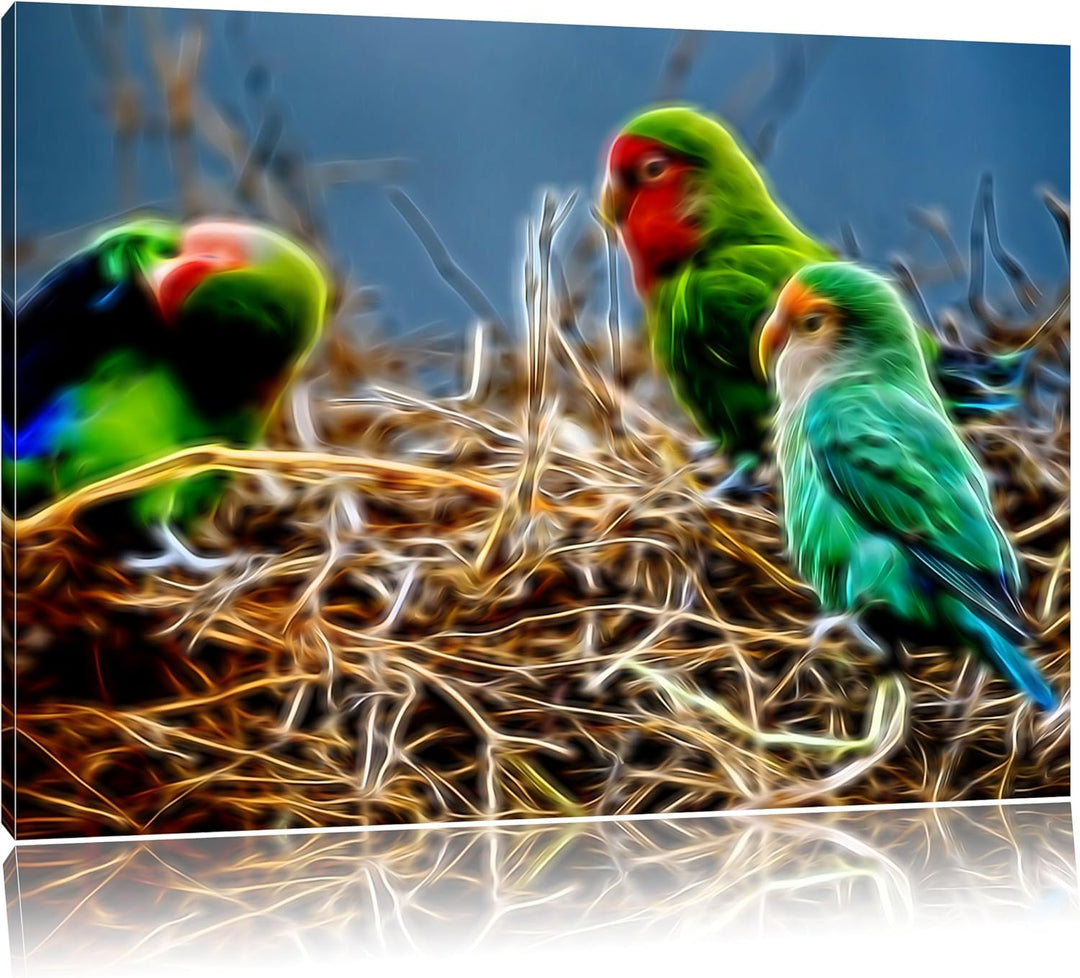 Papageien im Nest Deluxe Format: 100x70 cm auf Leinwand, XXL riesige Bilder fertig gerahmt mit Keilr
