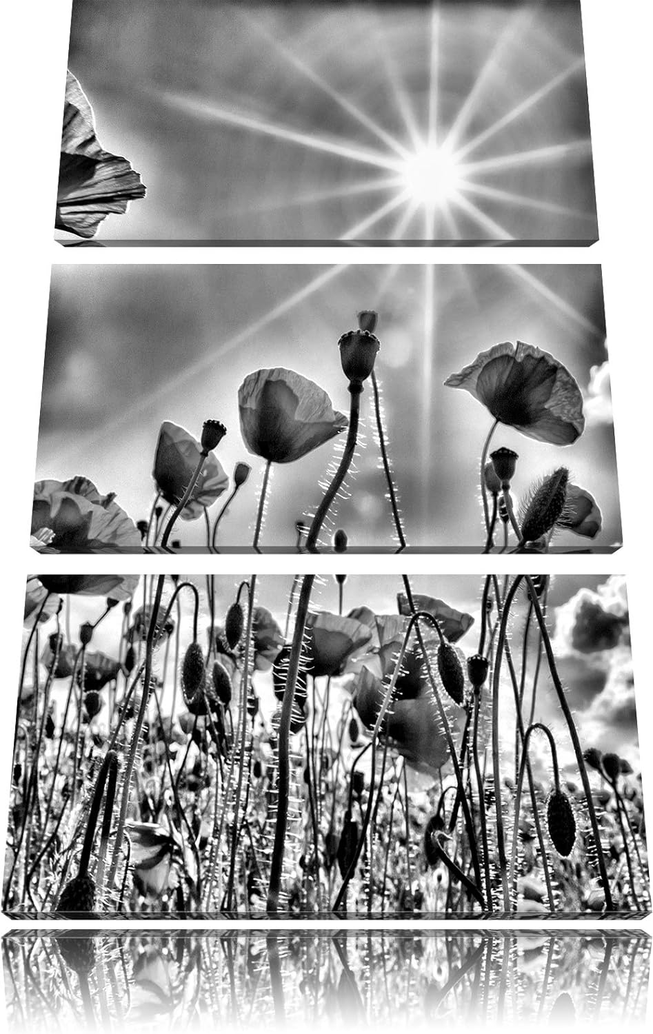 Pixxprint Mohnblumen als Leinwandbild/Grösse: 3 Teilig (120x80) cm/Wandbild/Kunstdruck/fertig bespan