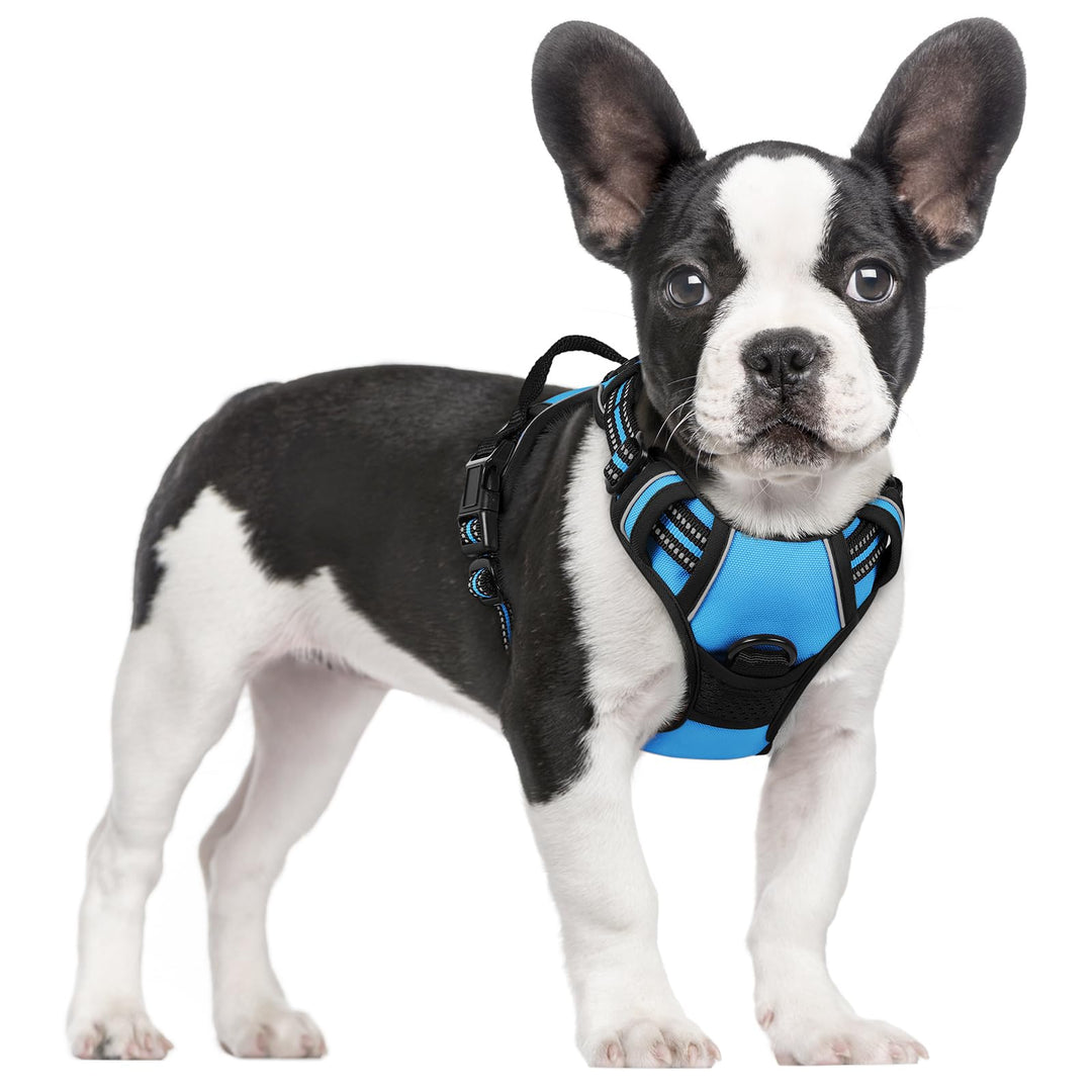 rabbitgoo Hundegeschirr Mittelgrosse Hunde, Anti Zug Geschirr mit Kontrolle, No Pull Verstellbar Hun