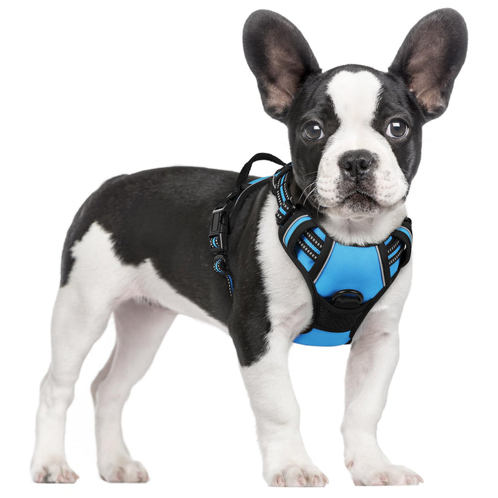 rabbitgoo Hundegeschirr Mittelgrosse Hunde, Anti Zug Geschirr mit Kontrolle, No Pull Verstellbar Hun