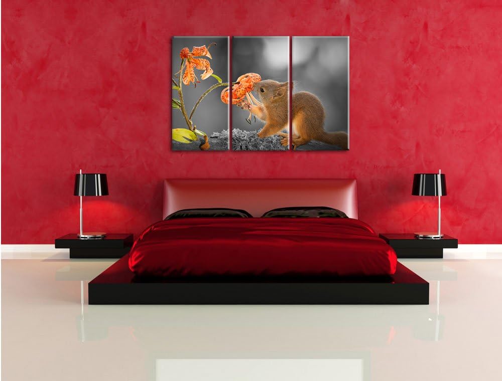 Pixxprint Eichhörnchen riecht an Einer Blume als Leinwandbild/Grösse: 3 Teilig (120x80 cm) cm/Wandbi