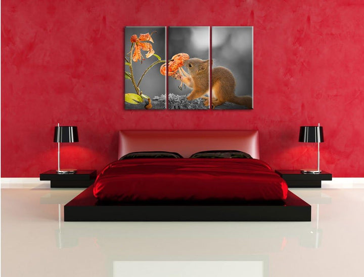 Pixxprint Eichhörnchen riecht an Einer Blume als Leinwandbild/Grösse: 3 Teilig (120x80 cm) cm/Wandbi