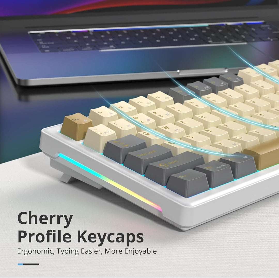 SOLIDEE Verkabelte Mechanische Gaming Tastatur 75 Prozent, Hot-Swap-Fähig Mit Gasket Struktur, RGB H