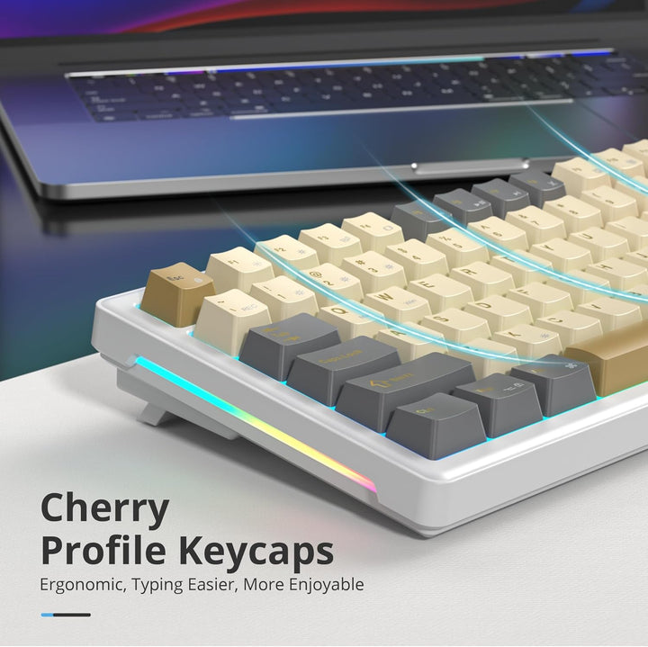 SOLIDEE Verkabelte Mechanische Gaming Tastatur 75 Prozent, Hot-Swap-Fähig Mit Gasket Struktur, RGB H