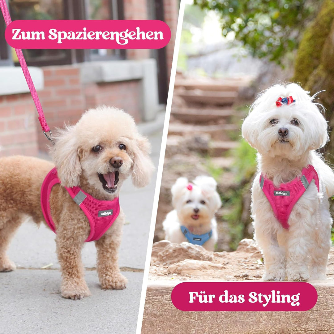 rabbitgoo Hundegeschirr Kleine Hunde, Step-in Welpengeschirr Weich Mesh für Spaziergänge, Atmungsakt