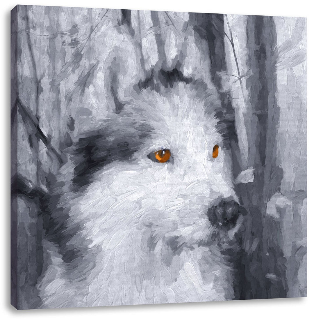 Pixxprint Wachsamer Husky Pinsel Effekt, Format: 70x70 auf Leinwand, 70x70