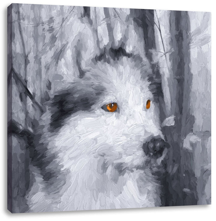 Pixxprint Wachsamer Husky Pinsel Effekt, Format: 70x70 auf Leinwand, 70x70