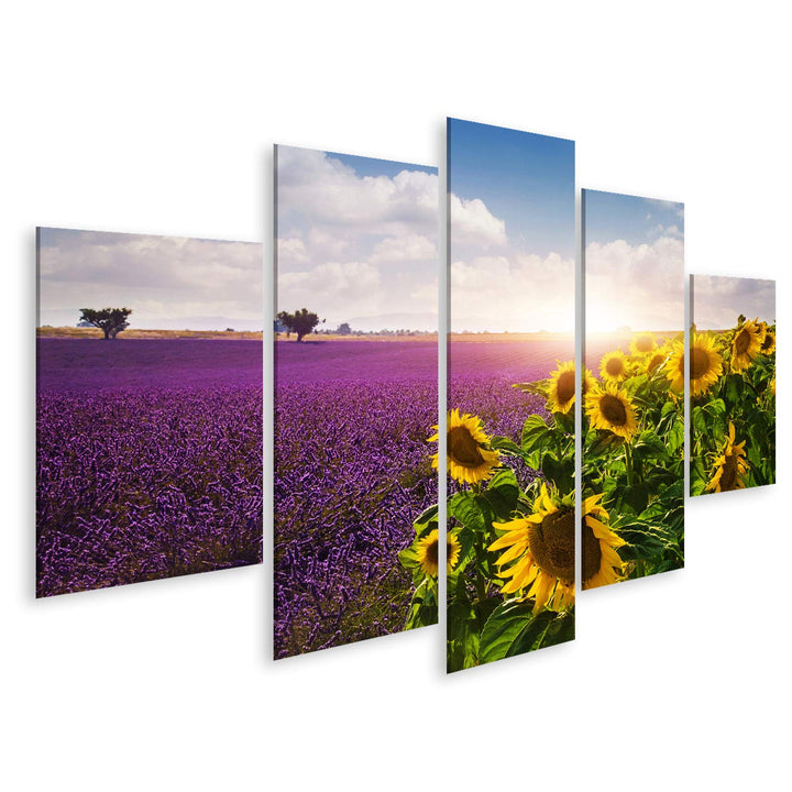 islandburner Bild auf Leinwand Lavendel Sonnenblumen Felder Provence Bilder Wandbilder Poster Leinwa